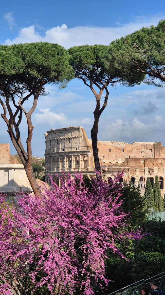 Il Colosseo a Roma