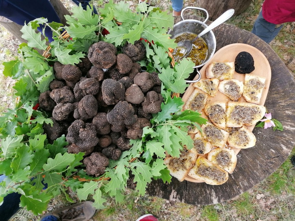 A basket of black truffles on oak leaves, next to a board of bruschette with grated truffle, in a wood in Umbria